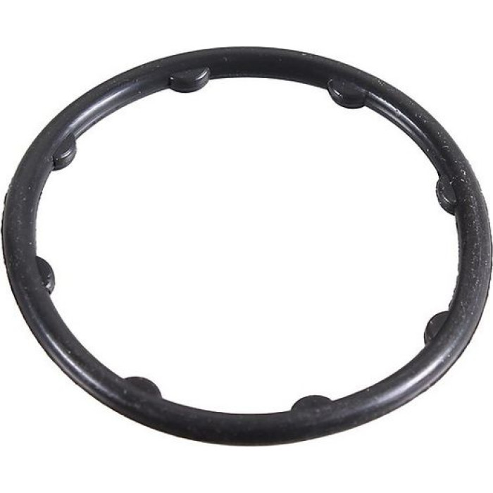 Metzger 2430111 Dichtring