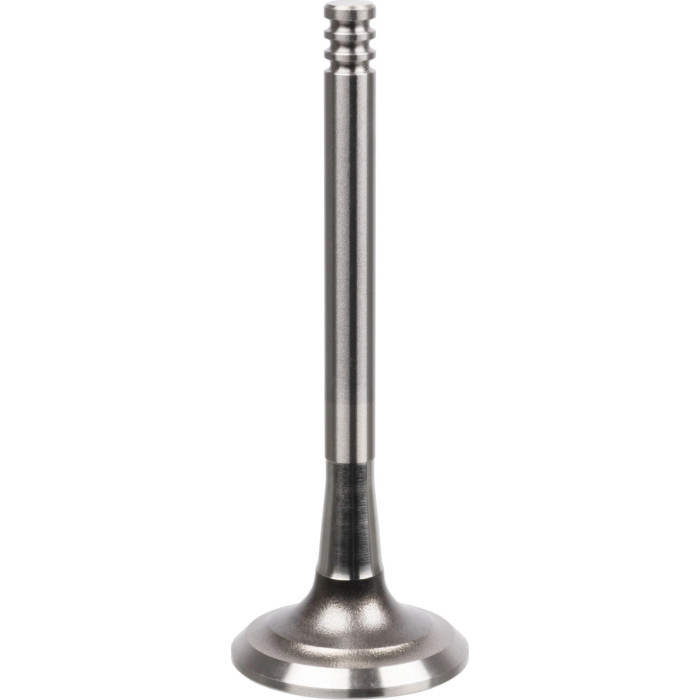 FEBI BILSTEIN 21042 Auslassventil FEBI BILSTEIN 21042 Auslassventil