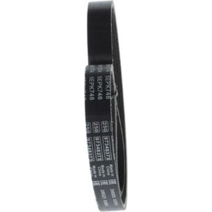 BOSCH 1 987 946 174 Keilrippenriemen Elastic