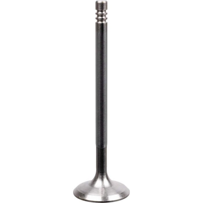 FEBI BILSTEIN 22060 Einlassventil