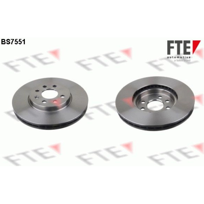 FTE 9072149 Bremsscheibe