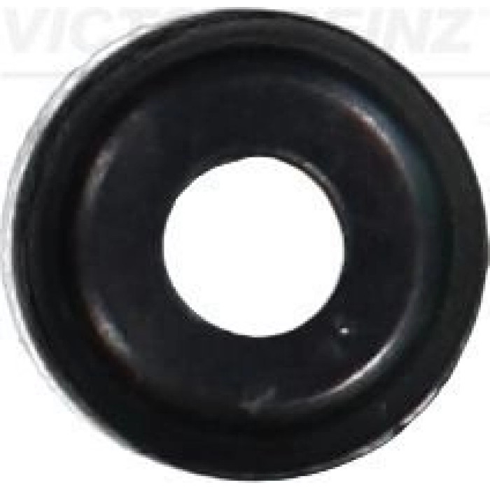 Victor Reinz 70-25169-00 Dichtring, Ventilschaft