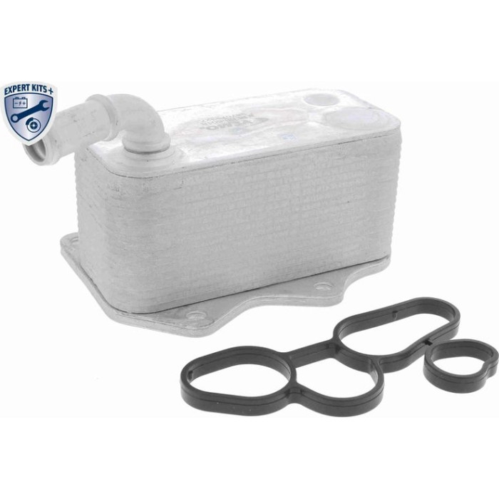 Vemo V15-60-6018 Ölkühler, Motoröl Expert Kits + Vemo V15-60-6018 Ölkühler, Motoröl Expert Kits +