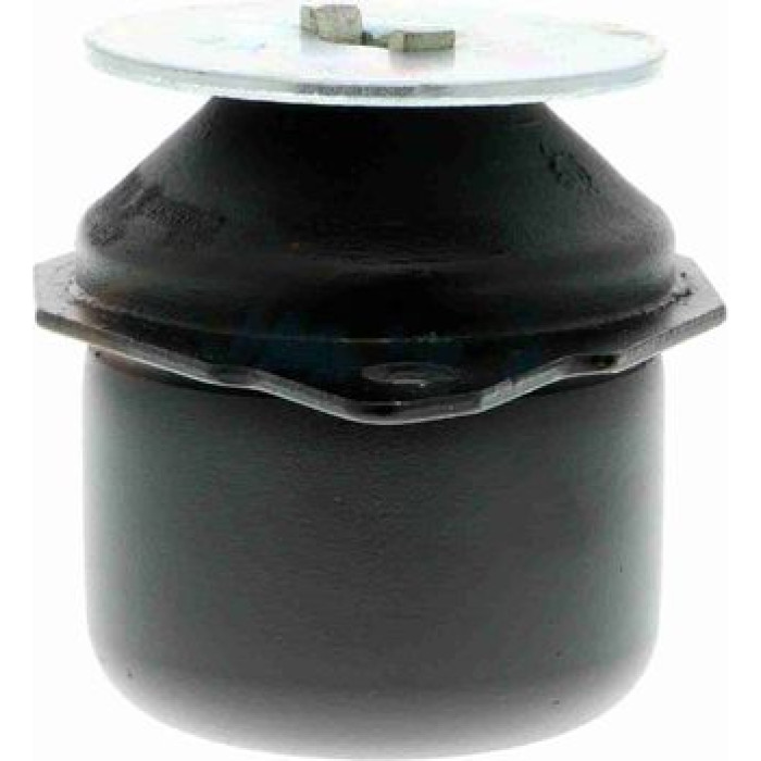 Vaico V10-1176 Lagerung, Motor