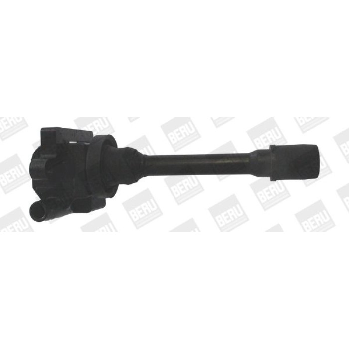 BorgWarner (BERU) ZSE179 Zündspule