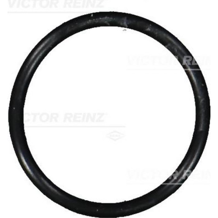 Victor Reinz 40-76101-00 Dichtring