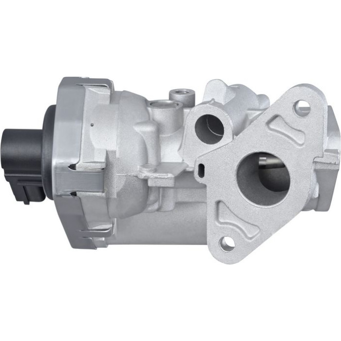 Hella 6NU 010 171-461 AGR-Ventil