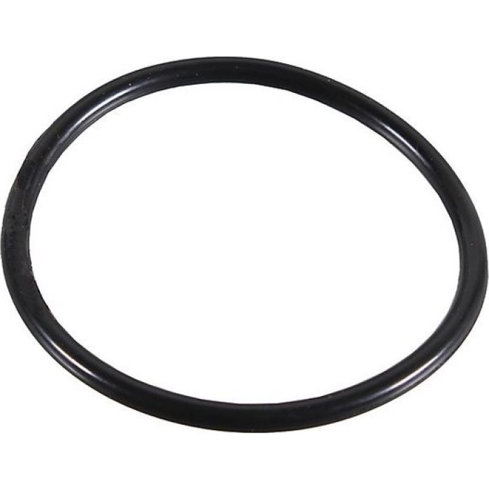 Dichtring 2430038