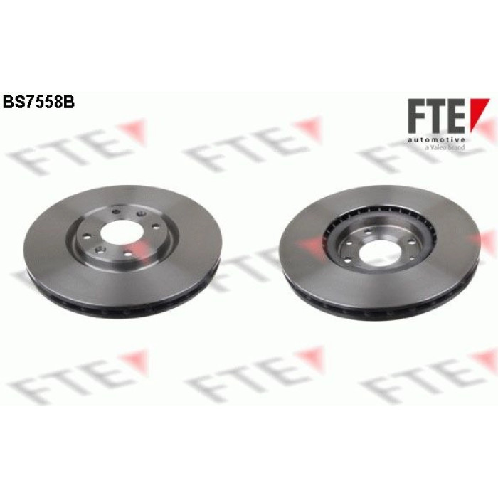 FTE 9081228 Bremsscheibe COATED RANGE FTE 9081228 Bremsscheibe COATED RANGE