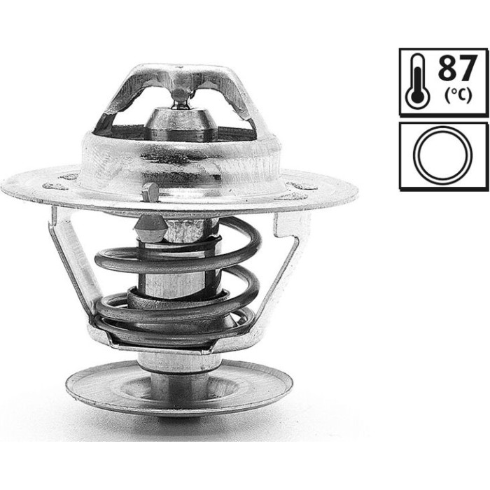 Thermostat, Kühlmittel 819925