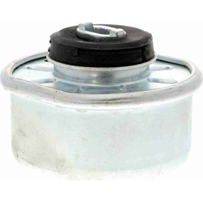 Vaico V10-1324 Lagerung, Motor