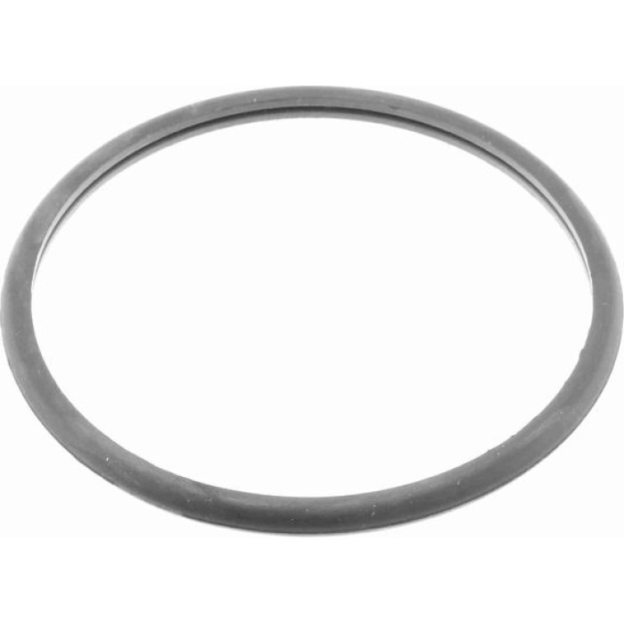 Vaico V42-0008 Kraftstofffilter Vaico V42-0008 Kraftstofffilter