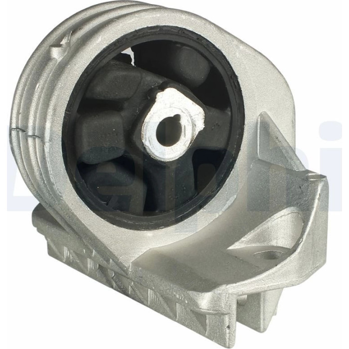 Delphi TEM050 Lagerung, Motor