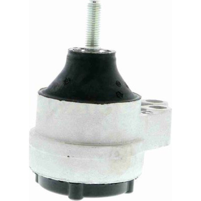 Vaico V25-0170 Lagerung, Motor
