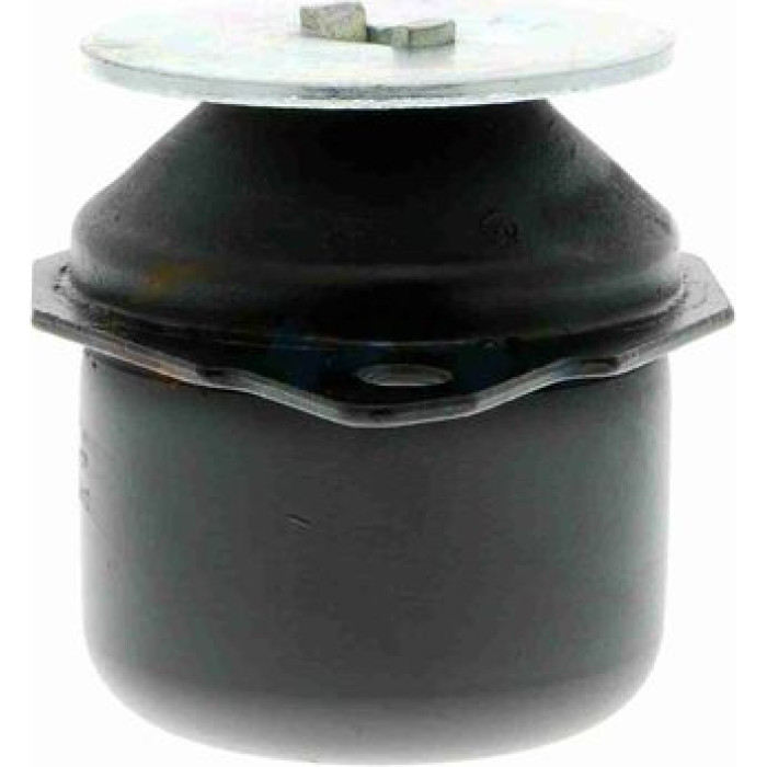 Vaico V10-1176 Lagerung, Motor