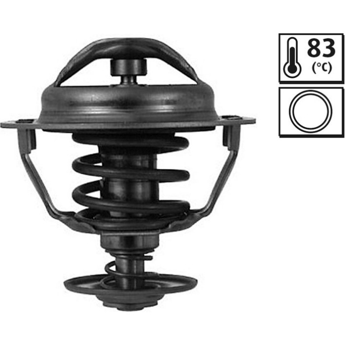 Thermostat, Kühlmittel 820047
