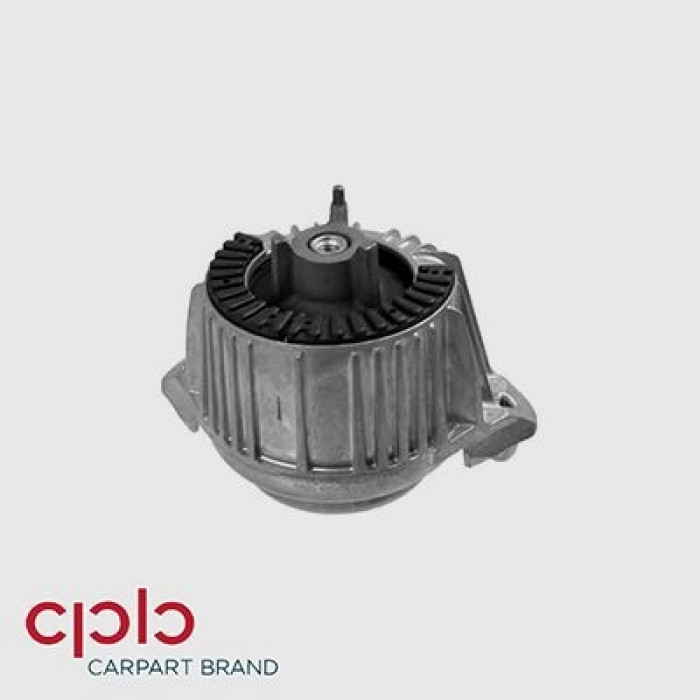 CPB 500485 Lagerung, Motor