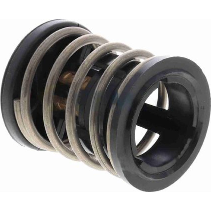 Thermostat, Kühlmittel V20-99-0169