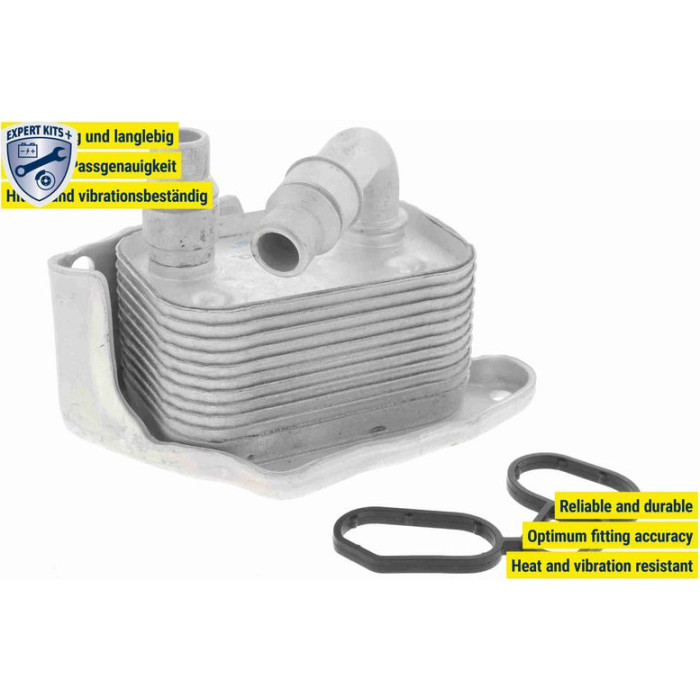 Vemo V20-60-0031 Ölkühler, Motoröl Expert Kits +