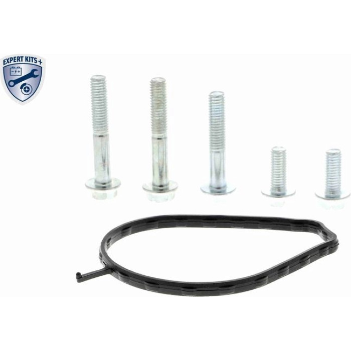 Vaico V22-50011 Wasserpumpe Expert Kits + Vaico V22-50011 Wasserpumpe Expert Kits +