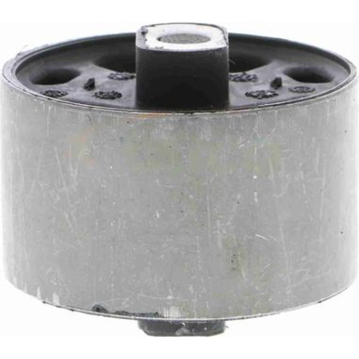 Vaico V10-1124 Lagerung, Motor