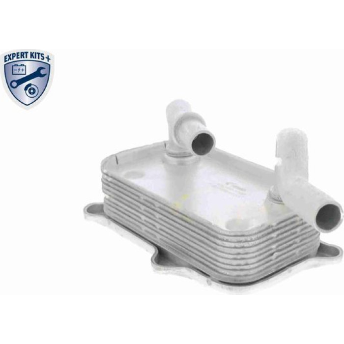 Vemo V30-60-1266 Ölkühler, Motoröl Expert Kits + Vemo V30-60-1266 Ölkühler, Motoröl Expert Kits +