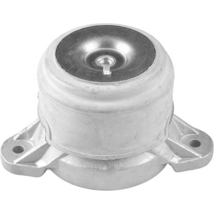 Tedgum TED79851 Lagerung, Motor