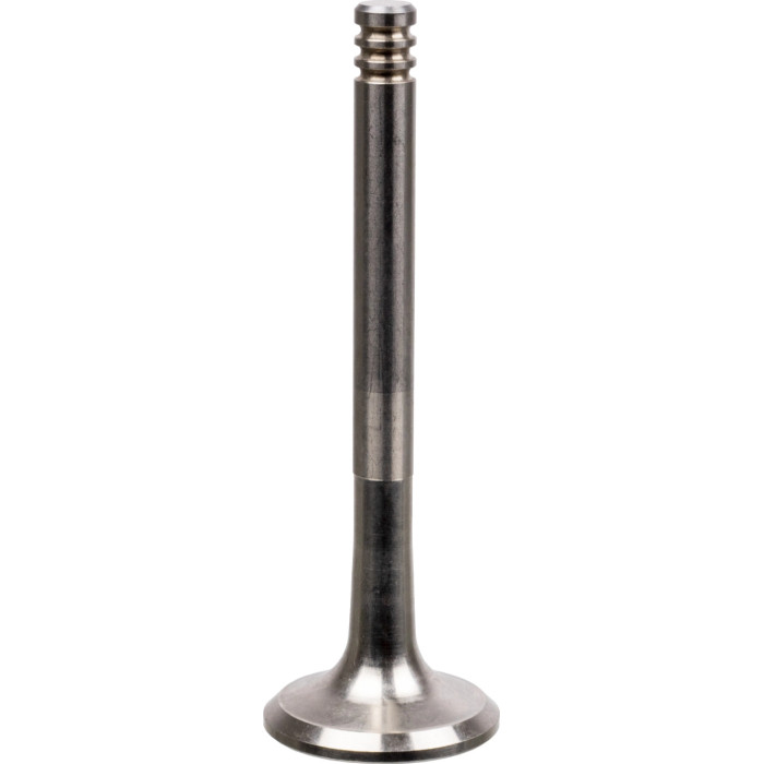 FEBI BILSTEIN 19974 Auslassventil FEBI BILSTEIN 19974 Auslassventil