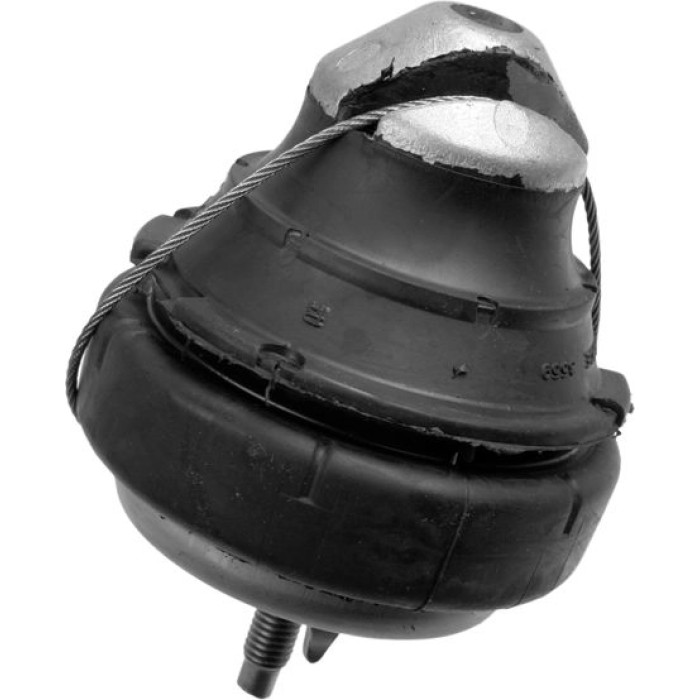 Lemförder 12043 01 Lagerung, Motor