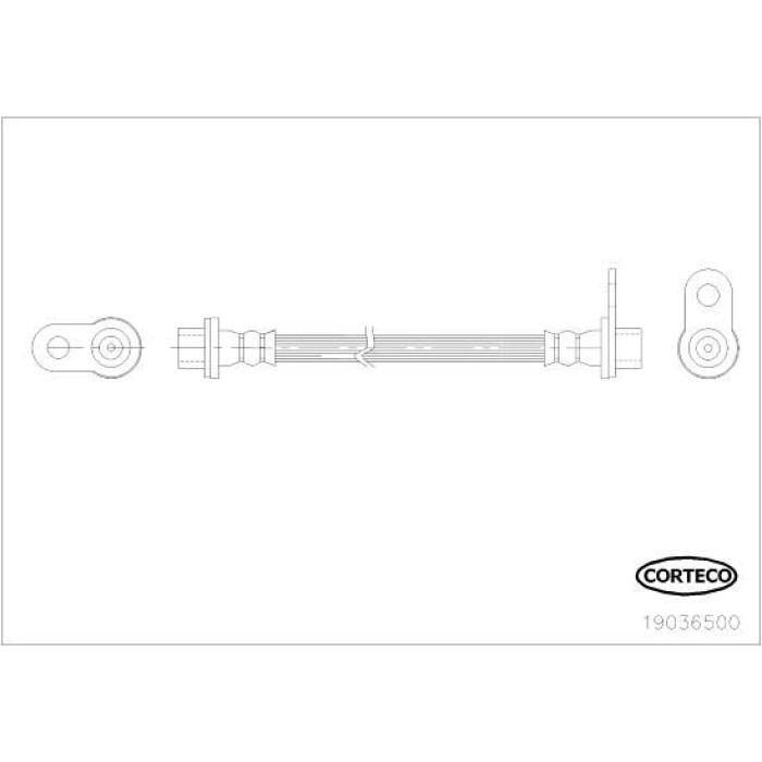 Corteco 19036500 Bremsschlauch