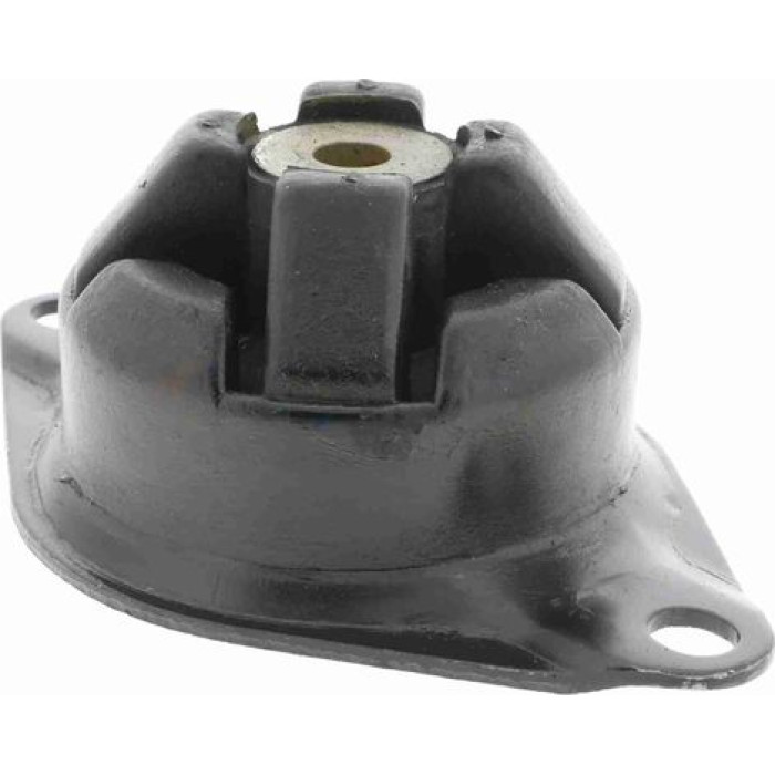 Vaico V10-2430 Lagerung, Motor