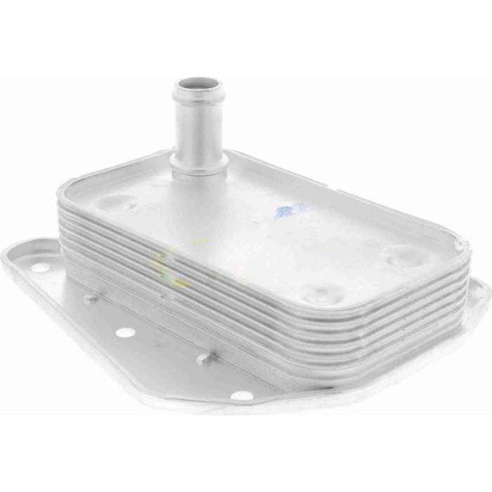 Vemo V30-60-1273 Ölkühler, Motoröl