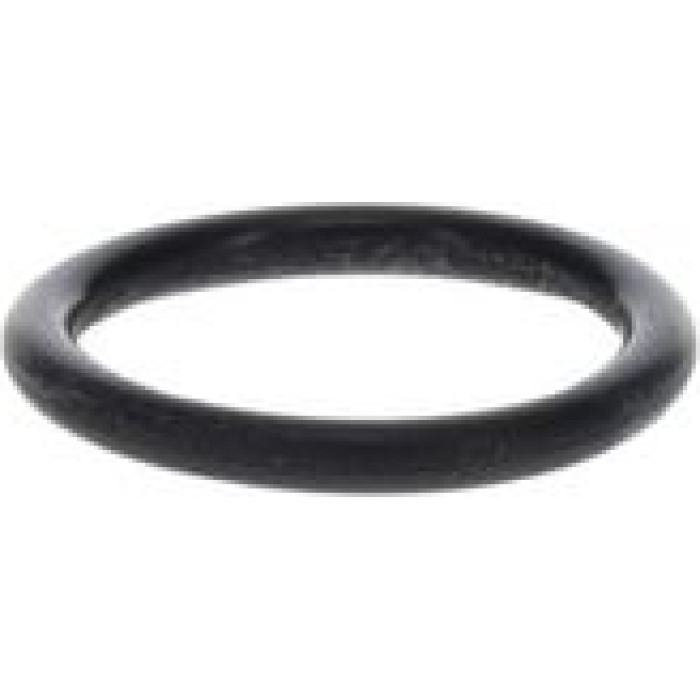 BOSCH 1 420 210 028 Dichtung, Rahmen Hauptscheinwerfer