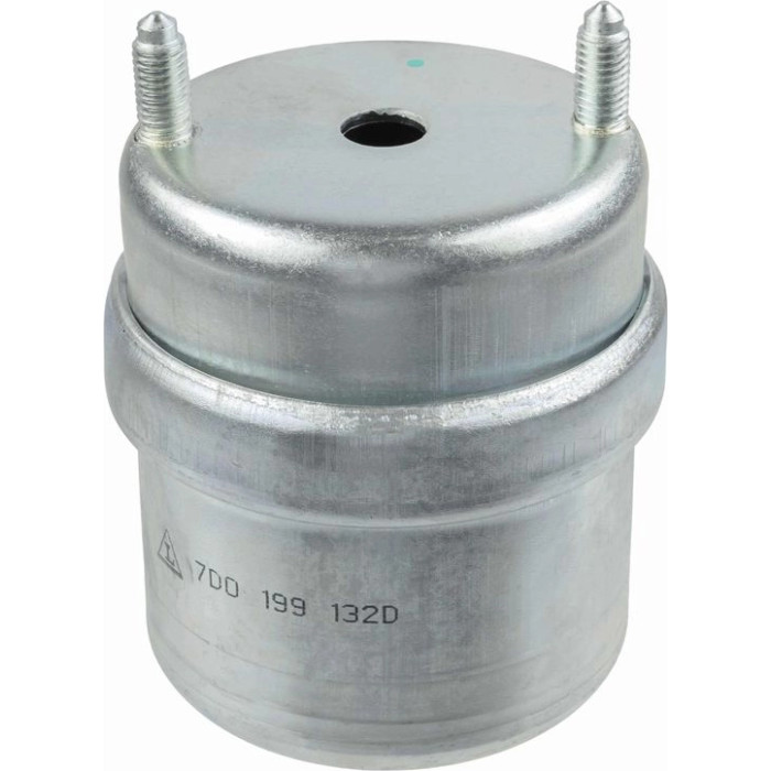 Lemförder 25369 01 Lagerung, Motor