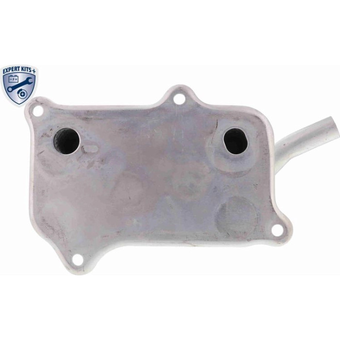 Vemo V30-60-1266 Ölkühler, Motoröl Expert Kits + Vemo V30-60-1266 Ölkühler, Motoröl Expert Kits +