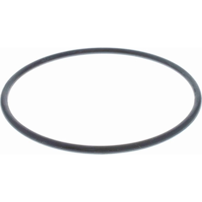 Vaico V10-1610 Ölfilter Vaico V10-1610 Ölfilter