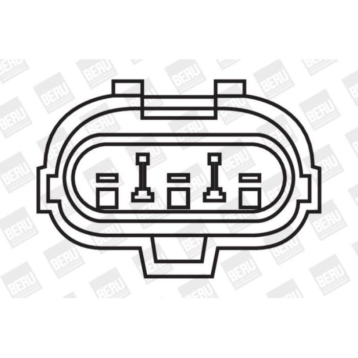 BorgWarner (BERU) ZS264 Zündspule