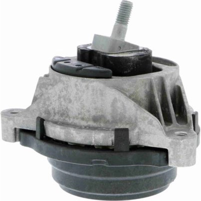 Vaico V20-1554 Lagerung, Motor
