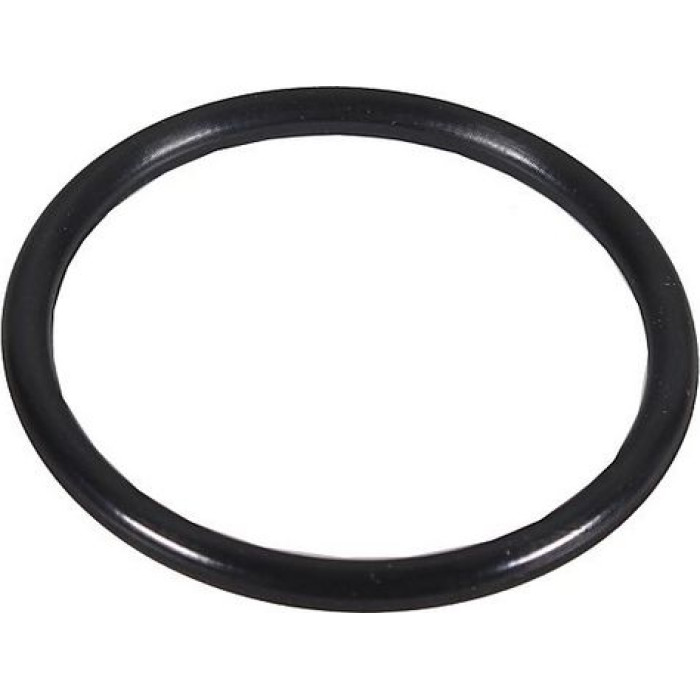 Metzger 2430159 Dichtring, Lader