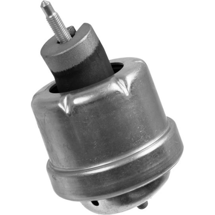 Lemförder 26035 01 Lagerung, Motor