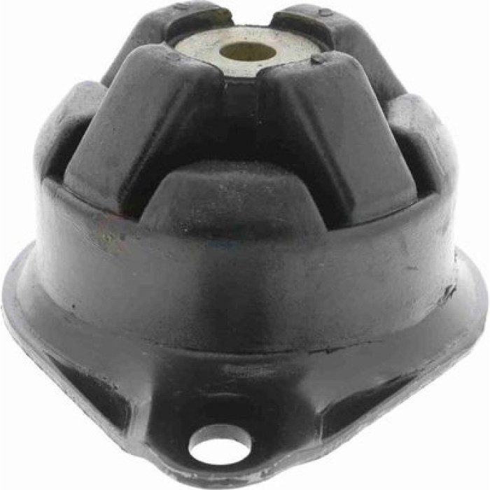 Vaico V10-2430 Lagerung, Motor