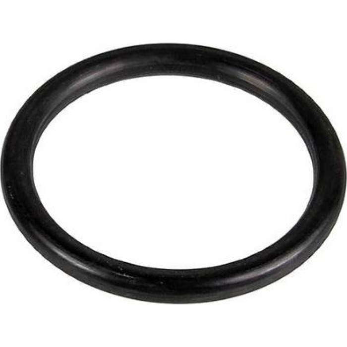 Metzger 2430101 Dichtring