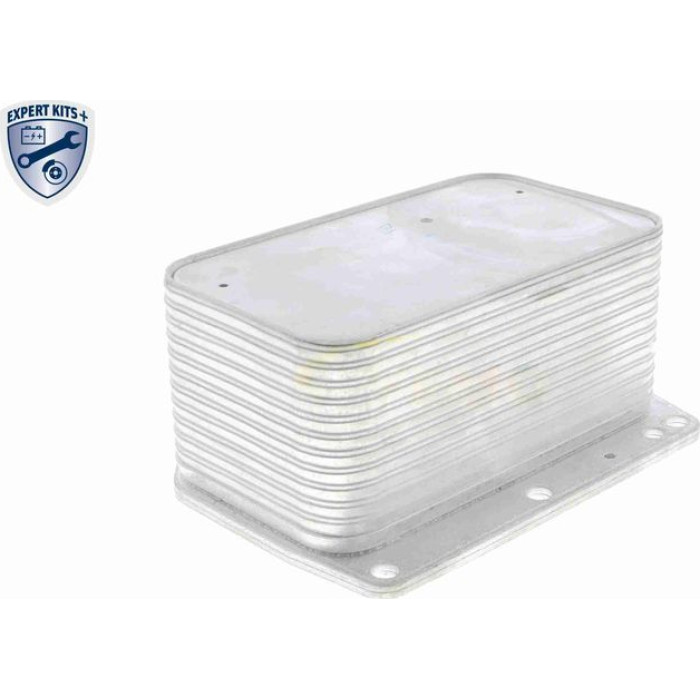 Vemo V46-60-0012 Ölkühler, Motoröl Expert Kits + Vemo V46-60-0012 Ölkühler, Motoröl Expert Kits +