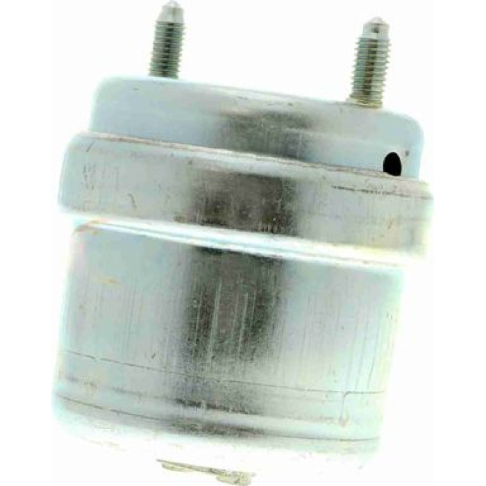 Vaico V10-8209 Lagerung, Motor
