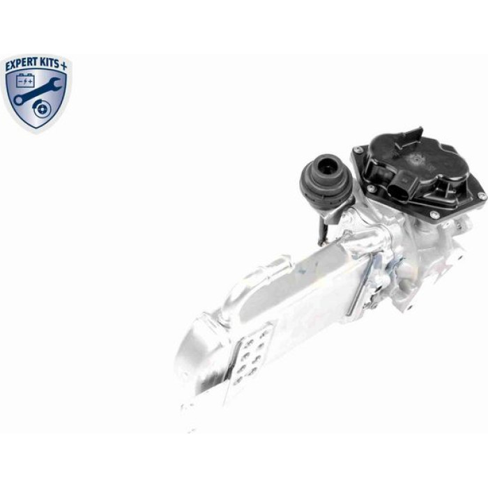 AGR-Ventil V10-63-0050 AGR-Ventil V10-63-0050