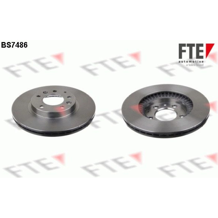 FTE 9072456 Bremsscheibe FTE 9072456 Bremsscheibe