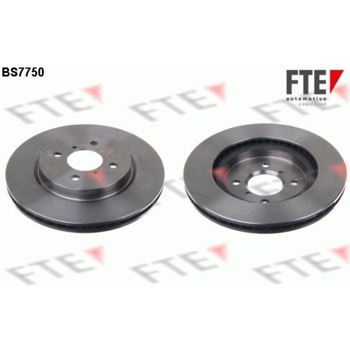 FTE 9072655 Bremsscheibe FTE 9072655 Bremsscheibe