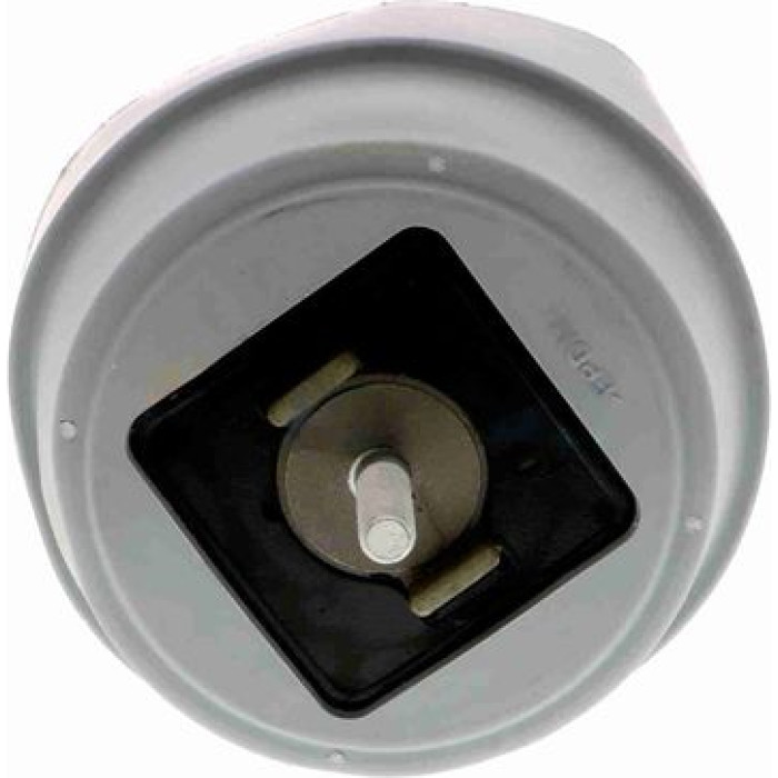 Vaico V10-2184 Lagerung, Motor