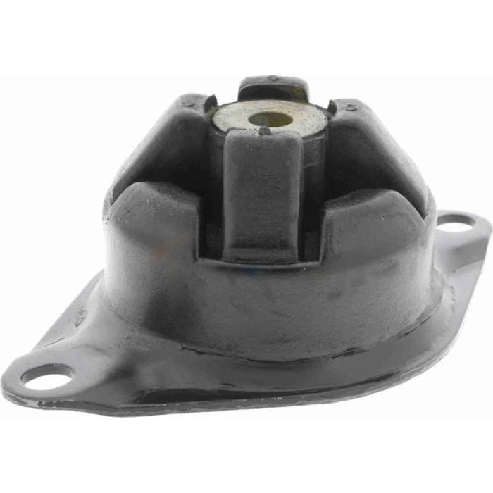 Vaico V10-2430 Lagerung, Motor