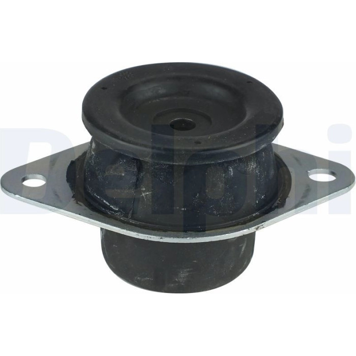 Delphi TEM041 Lagerung, Motor Delphi TEM041 Lagerung, Motor